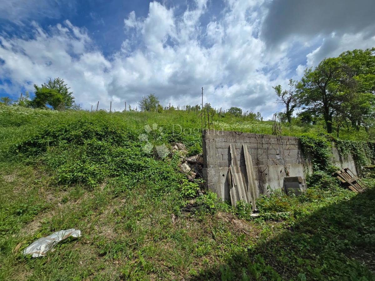 Hiša Gornje Psarjevo, Sveti Ivan Zelina, 885m2