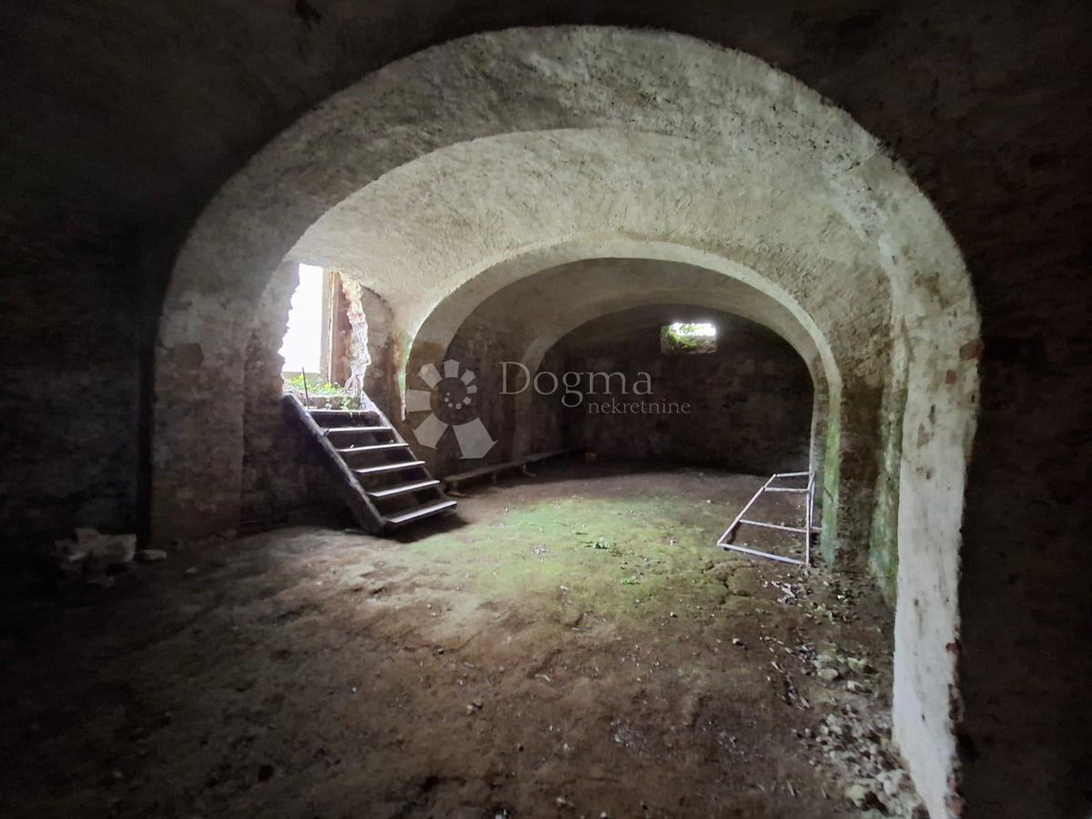 Hiša Gornje Psarjevo, Sveti Ivan Zelina, 885m2