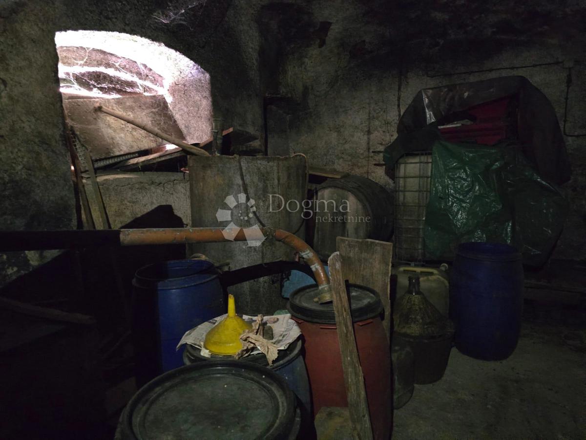 Hiša Gornje Psarjevo, Sveti Ivan Zelina, 885m2