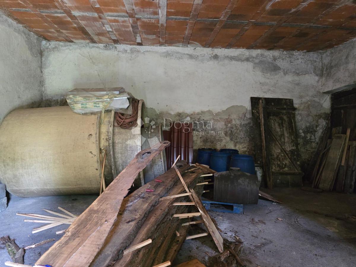 Hiša Gornje Psarjevo, Sveti Ivan Zelina, 885m2