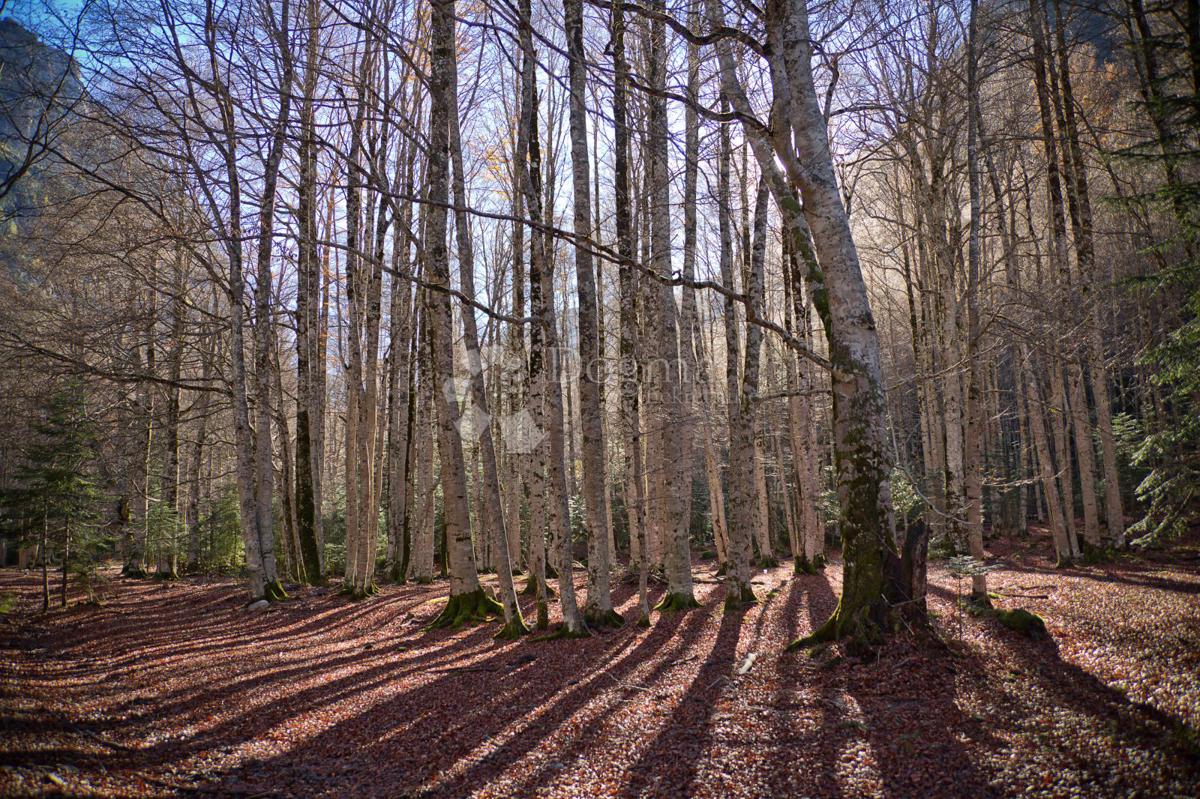 Kmetijsko zemljišče Slatina Pokupska, Glina, 30.000m2