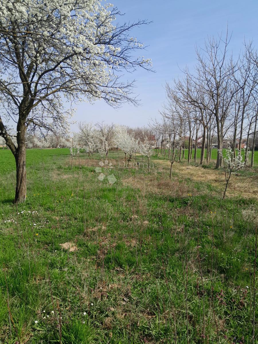 Kmetijsko zemljišče Centar, Vinkovci, 1.326m2