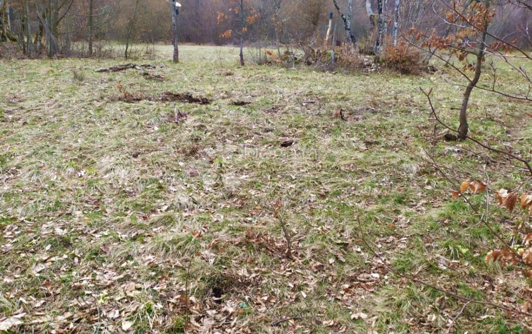 Kmetijsko zemljišče Nebljusi, Donji Lapac, 6.686m2