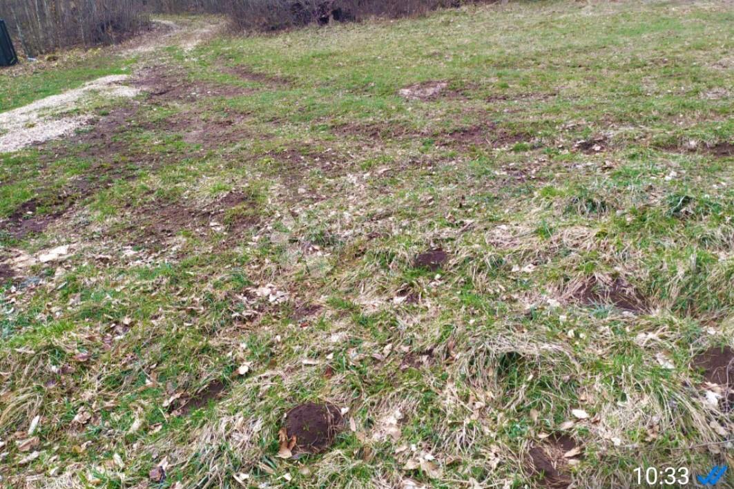 Kmetijsko zemljišče Nebljusi, Donji Lapac, 6.686m2