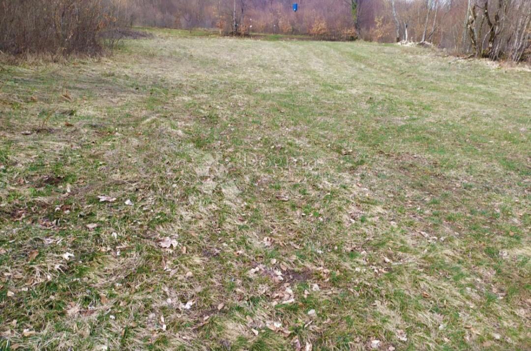 Kmetijsko zemljišče Nebljusi, Donji Lapac, 6.686m2