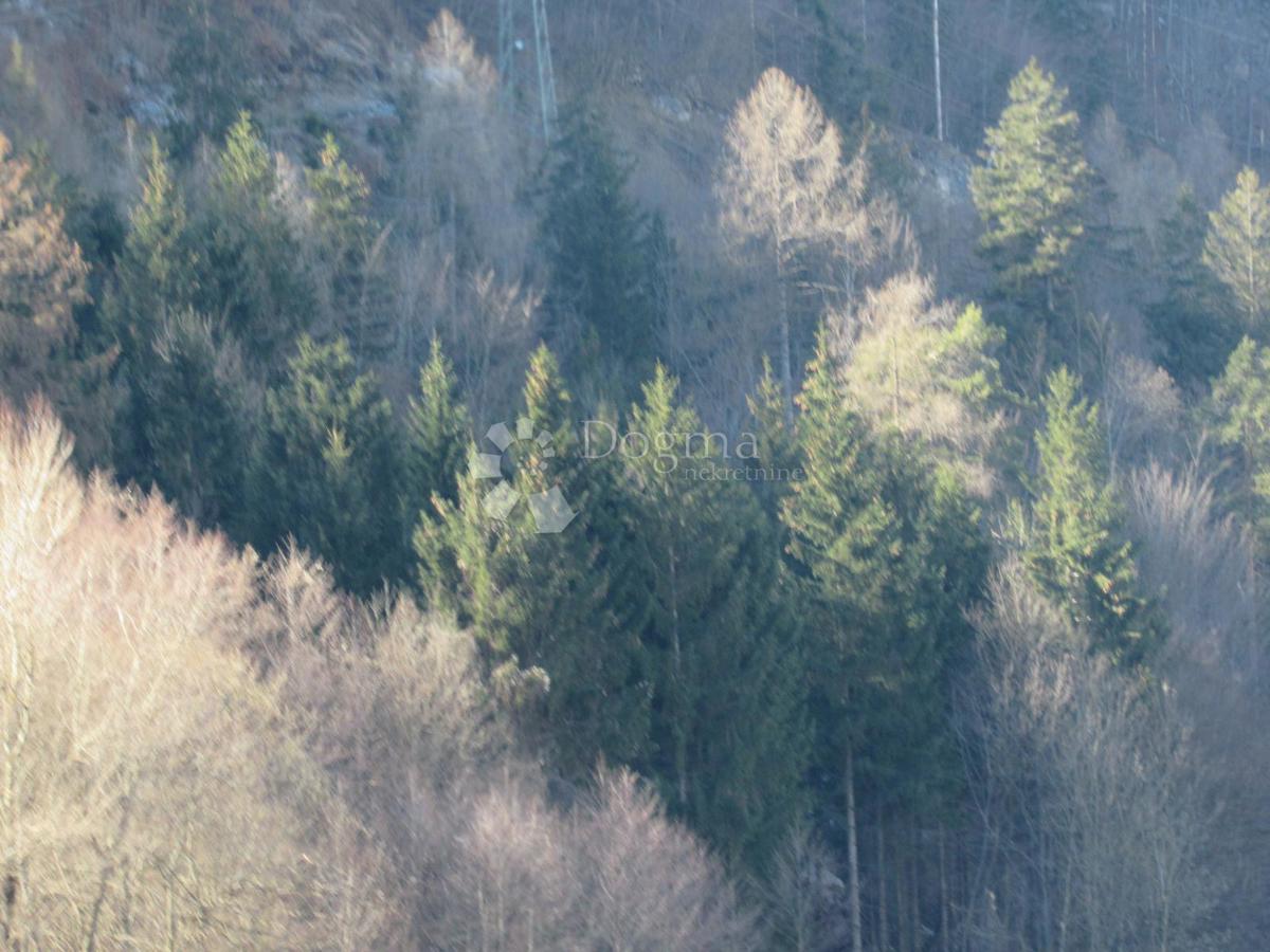 Kmetijsko zemljišče Nebljusi, Donji Lapac, 6.686m2