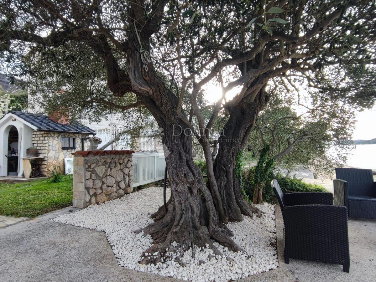 Hiša Grebaštica, Šibenik - Okolica, 280m2