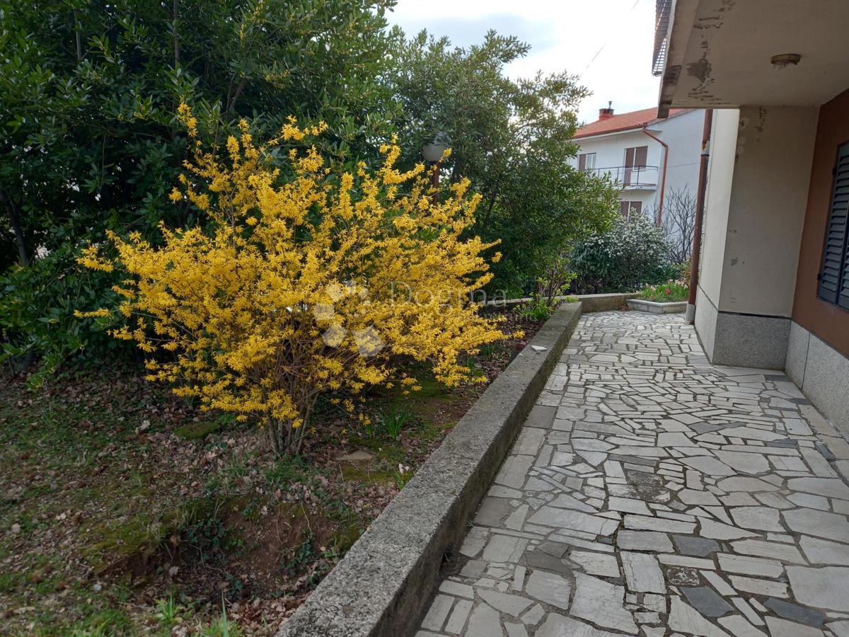 Hiša Drenova, Rijeka, 300m2