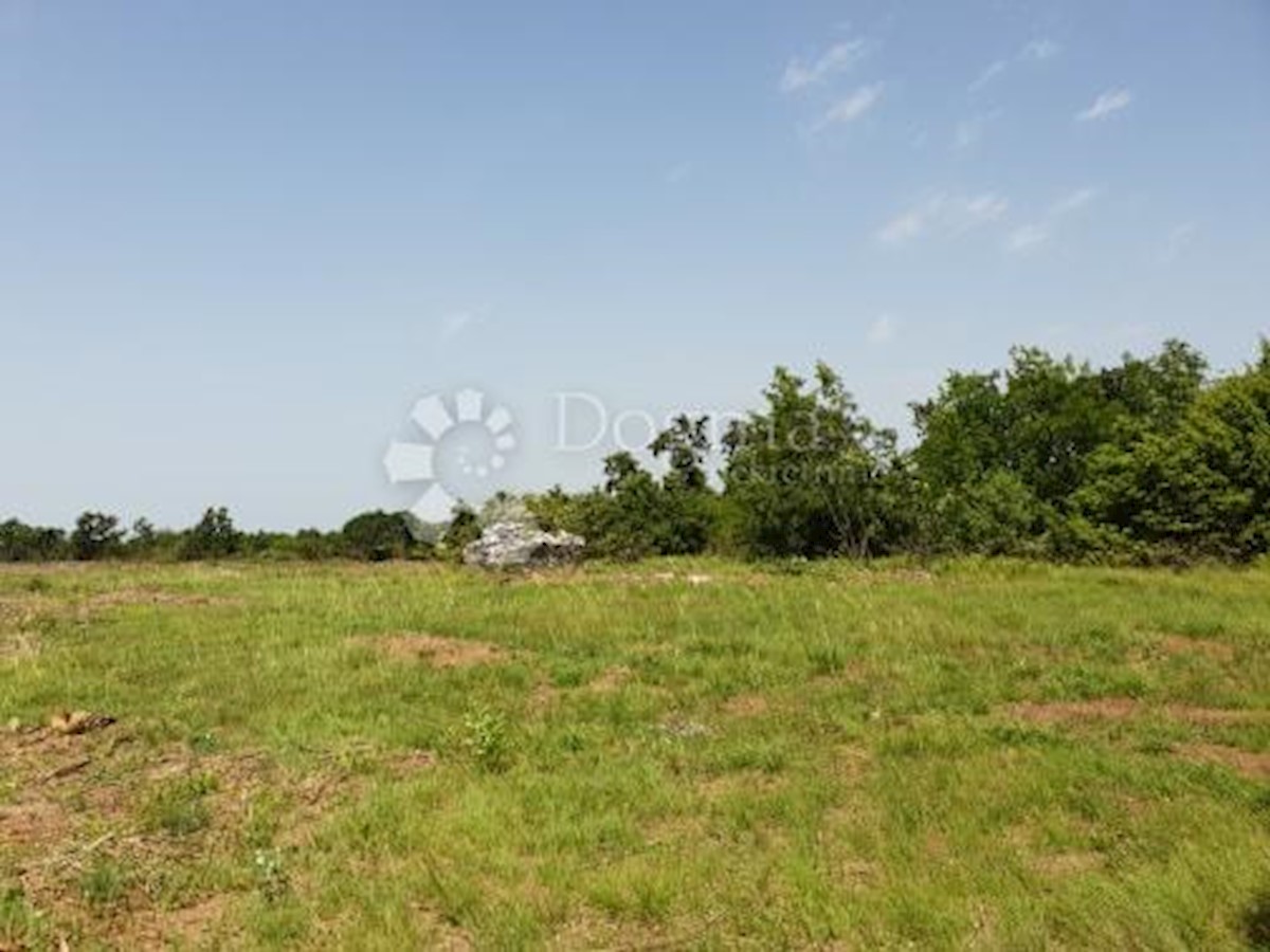 Zemljišče Svetvinčenat, 11.814m2