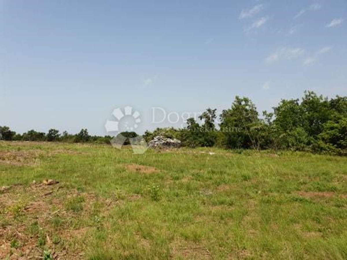 Zemljišče Svetvinčenat, 11.814m2