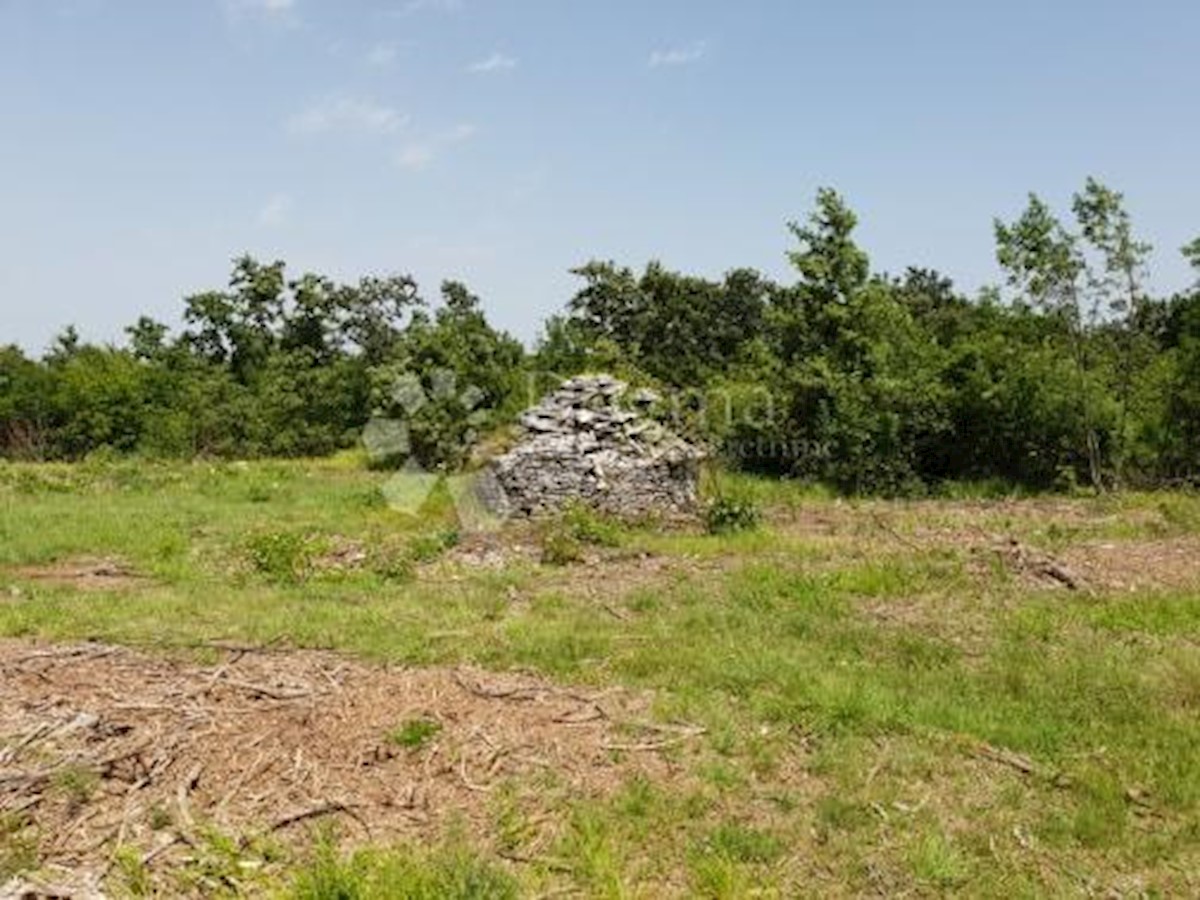 Zemljišče Svetvinčenat, 11.814m2
