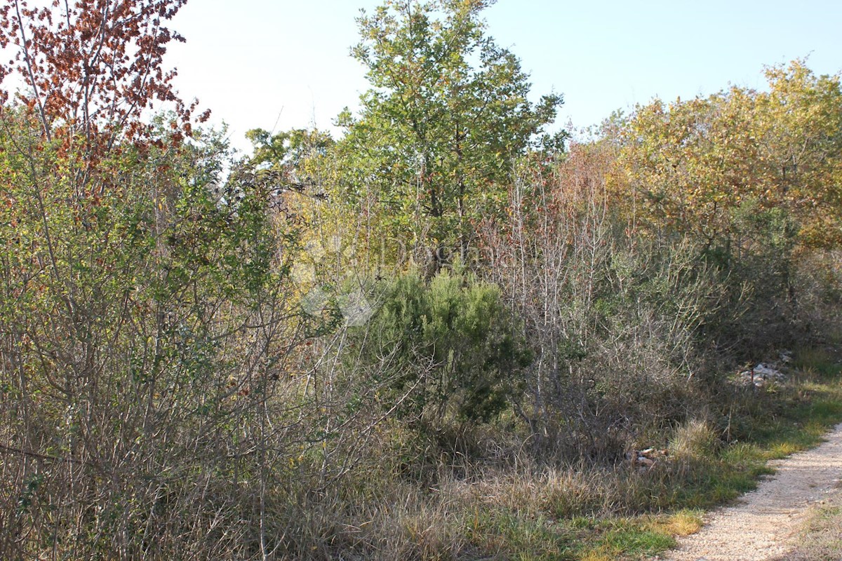 Zemljišče Barbariga, Vodnjan, 511m2