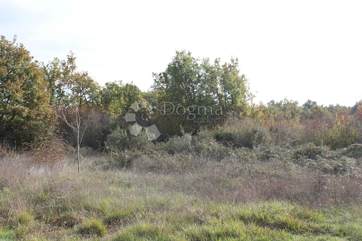 Zemljišče Barbariga, Vodnjan, 511m2