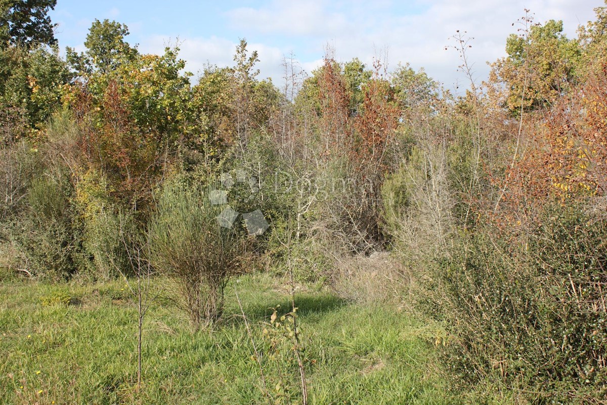Zemljišče Barbariga, Vodnjan, 511m2