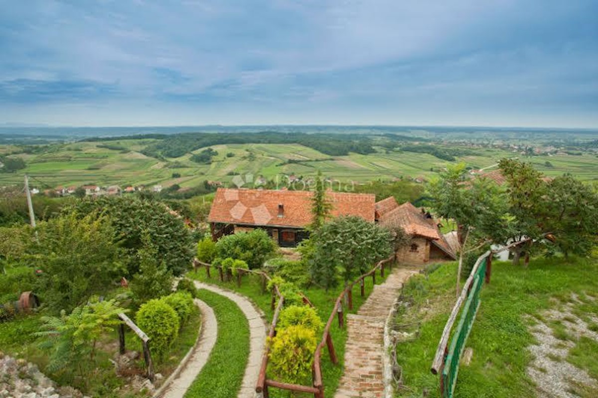 Hiša Donje Orešje, Sveti Ivan Zelina, 11.000m2