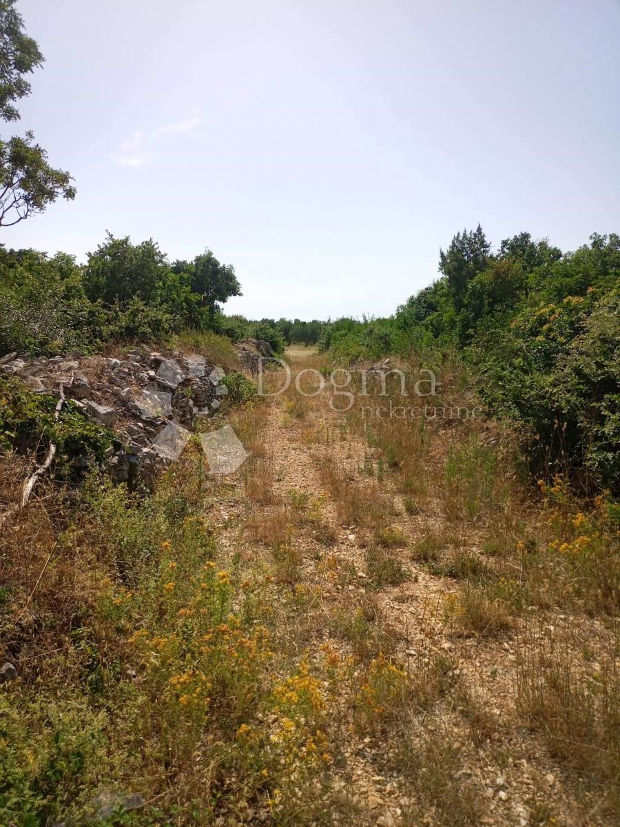 Zemljišče Gajana, Vodnjan, 3.818m2