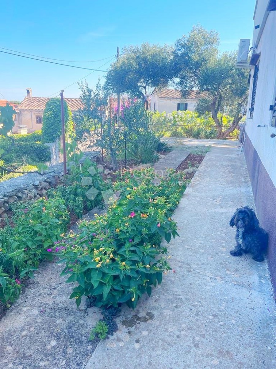 Hiša Veli Lošinj, Mali Lošinj, 340m2
