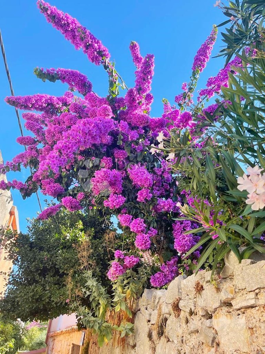 Hiša Veli Lošinj, Mali Lošinj, 340m2