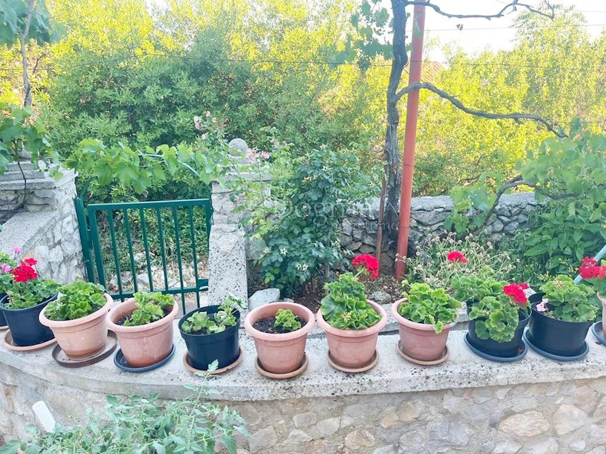 Hiša Veli Lošinj, Mali Lošinj, 340m2
