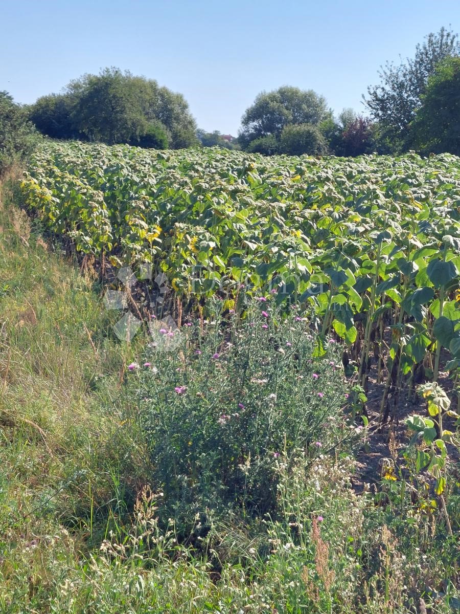 Zemljišče Gornji Kućan, Varaždin - Okolica, 1.302m2