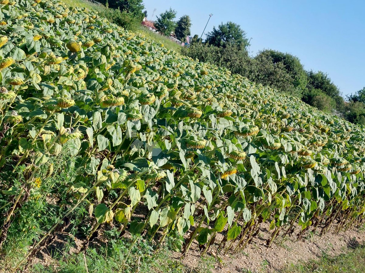 Zemljišče Gornji Kućan, Varaždin - Okolica, 1.302m2