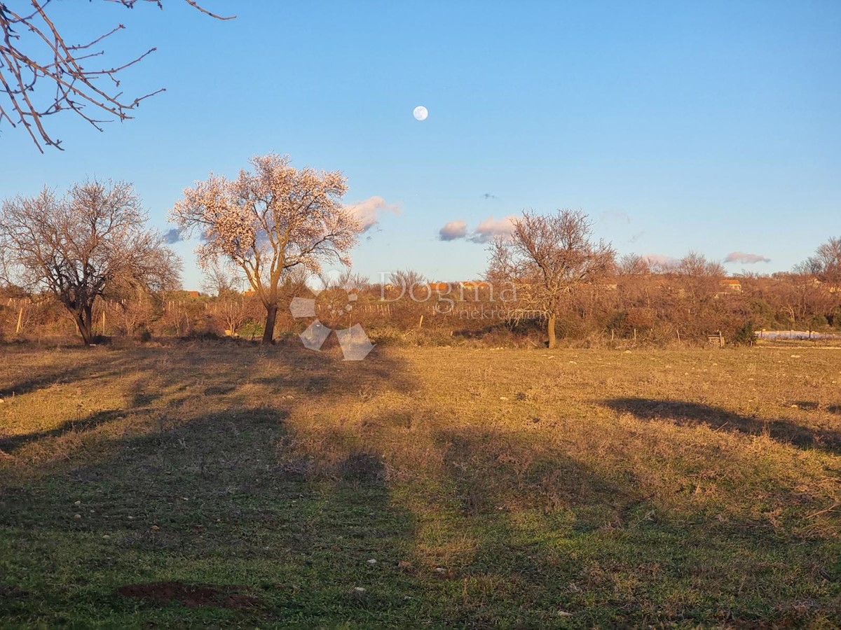 Zemljišče Lišane Tinjske, Benkovac, 8.221m2