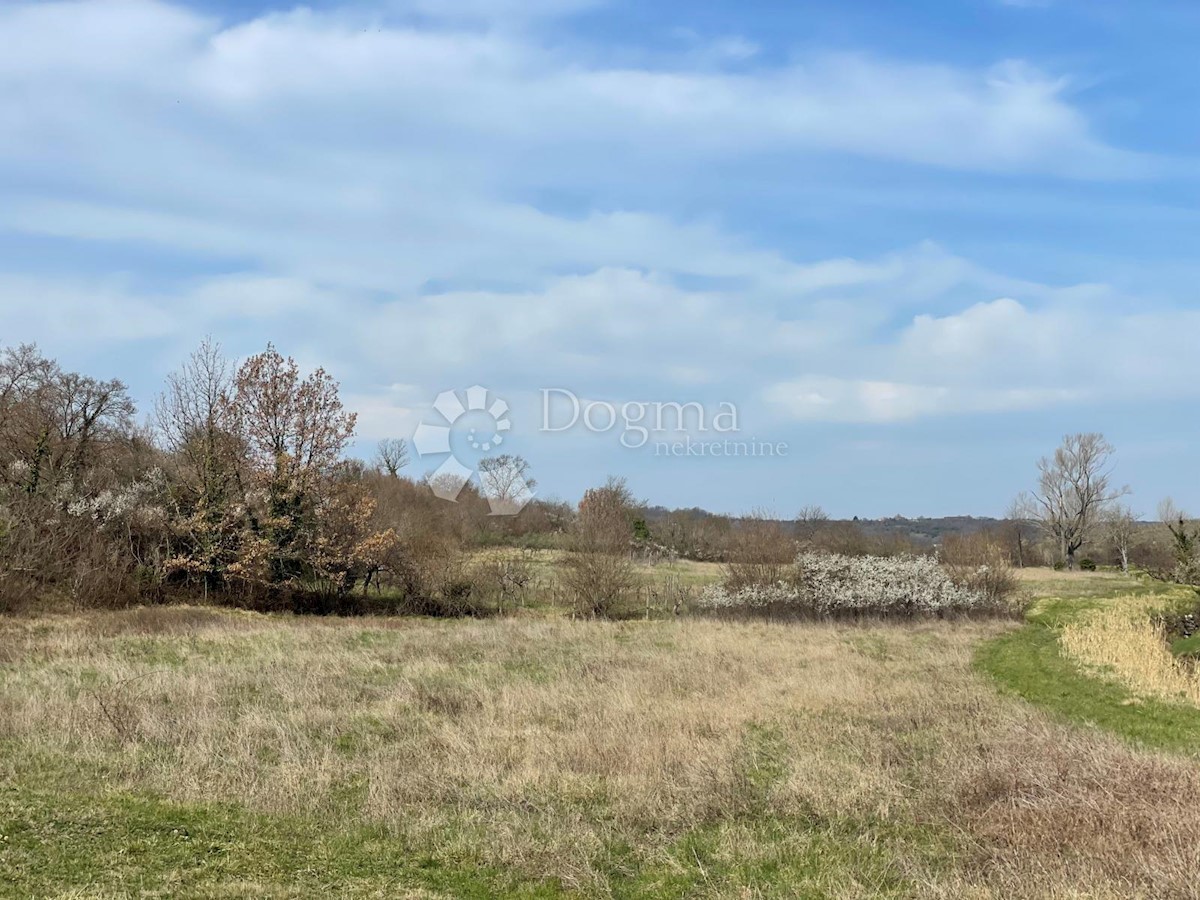 Zemljišče Buje, 15.980m2