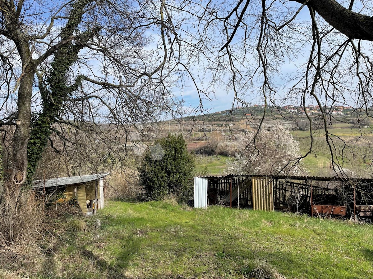 Zemljišče Buje, 15.980m2