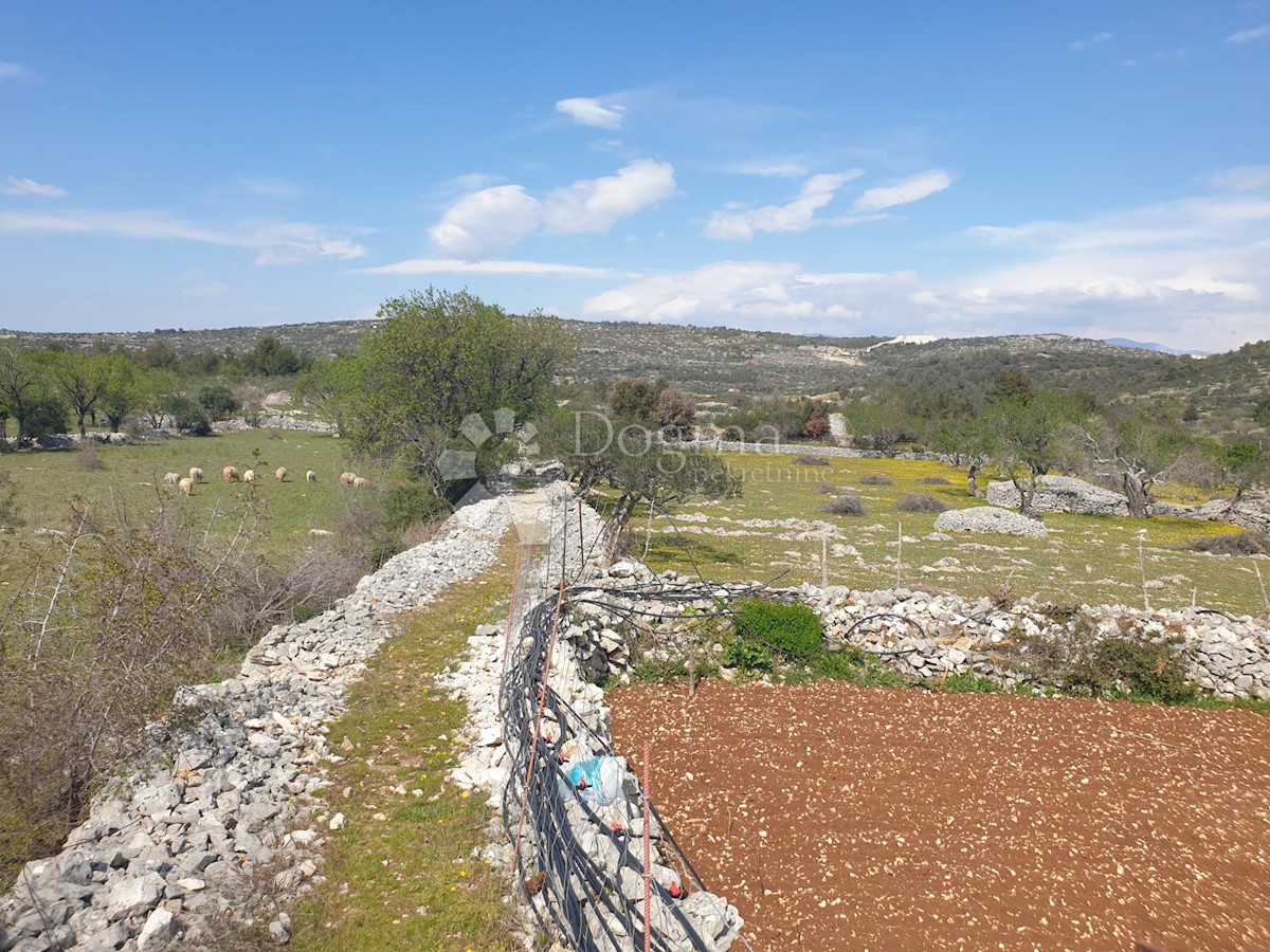 Zemljišče Dračevica, Nerežišća, 3.158m2