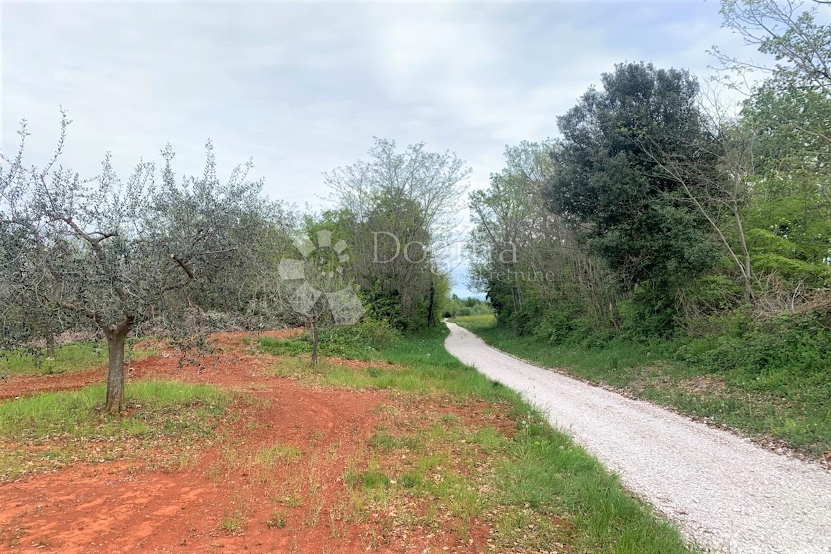 Zemljišče Vižinada, 5.832m2