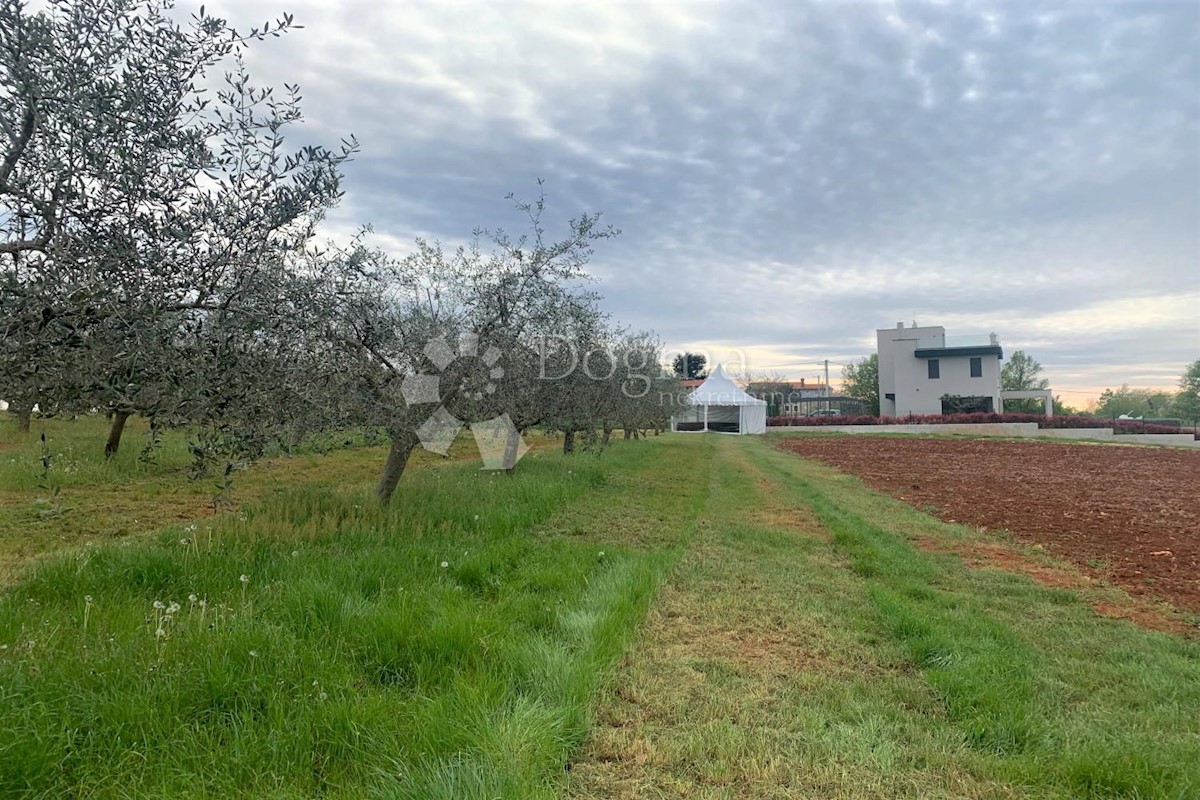 Zemljišče Vižinada, 5.832m2