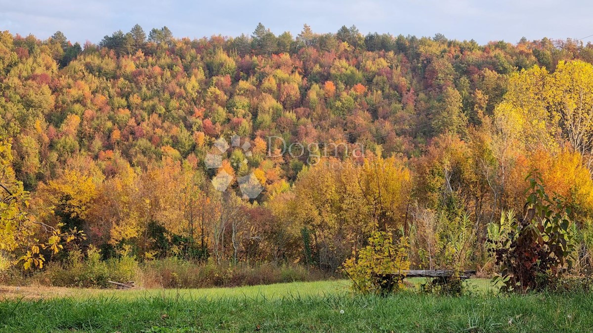 Hiša Kosoriga, Buzet, 3.718m2