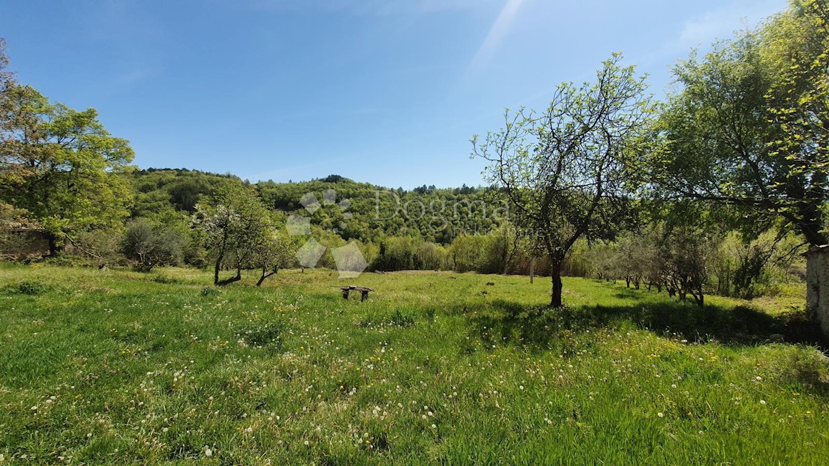 Hiša Kosoriga, Buzet, 3.718m2