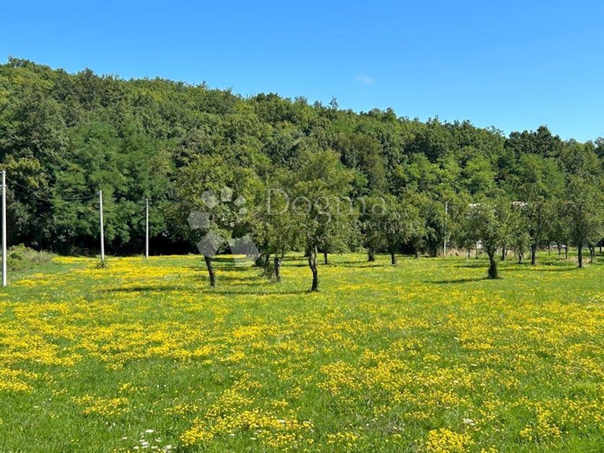 Zemljišče Mušaluk, Gospić - Okolica, 7.000m2