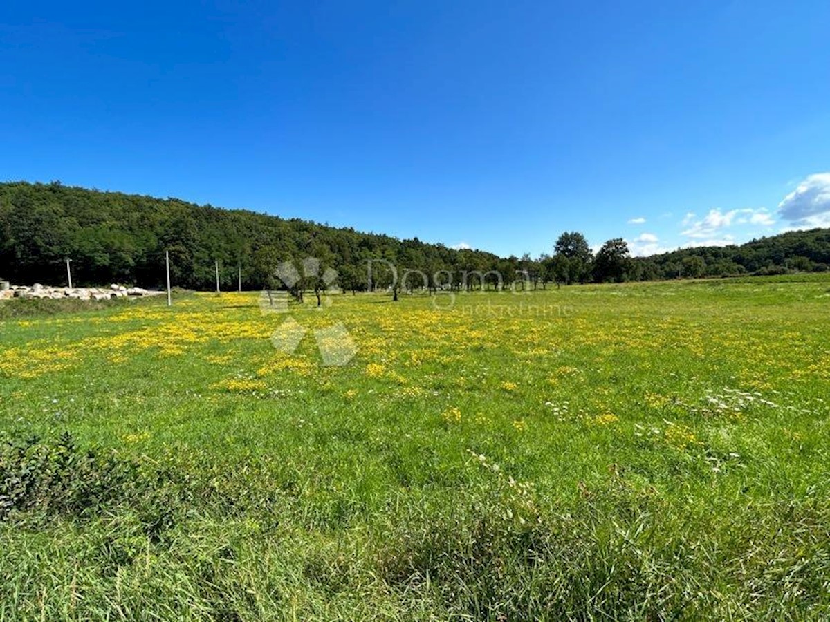 Zemljišče Mušaluk, Gospić - Okolica, 7.000m2