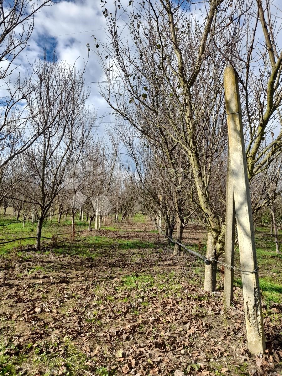 Zemljišče Nedelišće, 17.005m2