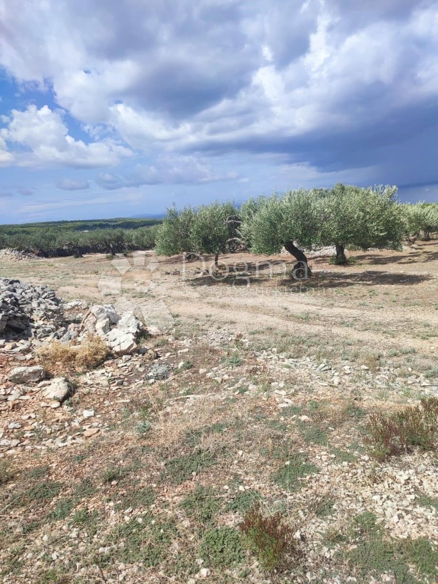 Zemljišče Supetar, 9.100m2
