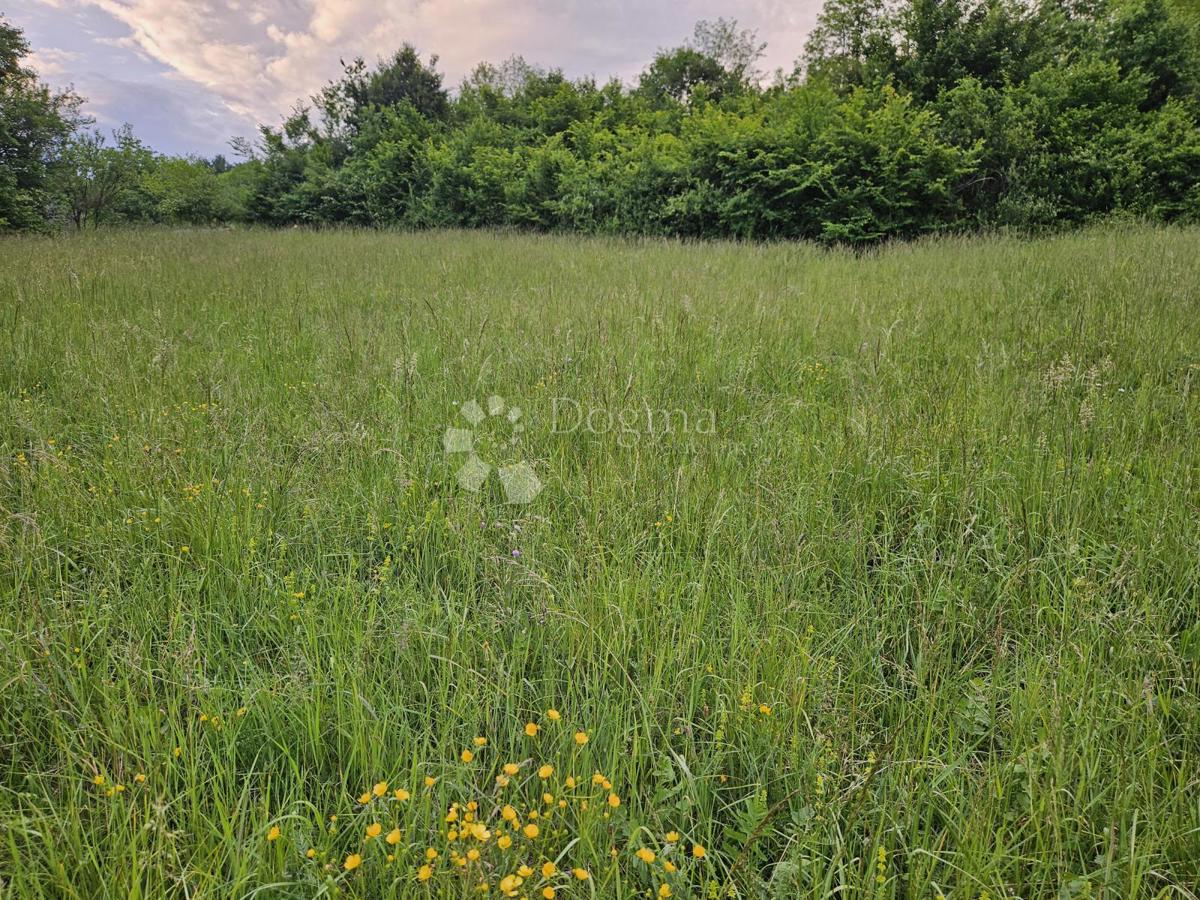 Zemljišče Donji Laduč, Brdovec, 2.313m2