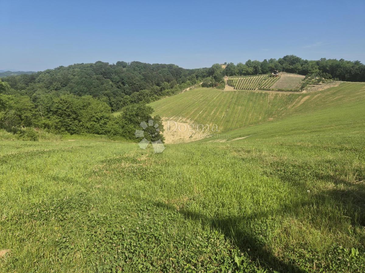 Zemljišče Križanče, Bedekovčina, 30.526m2