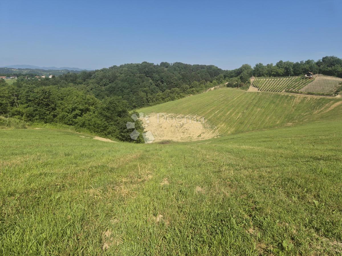 Zemljišče Križanče, Bedekovčina, 30.526m2