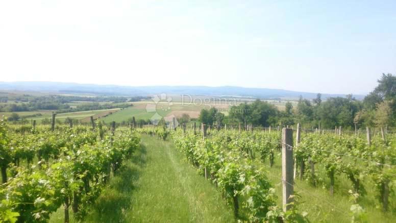 Zemljišče Gradište, Kutjevo, gradište, 78.505m2