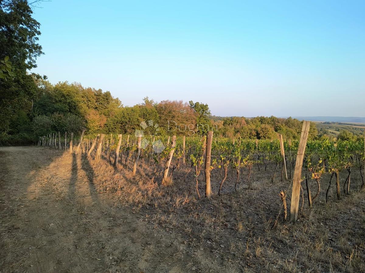 Zemljišče Gradište, Kutjevo, gradište, 78.505m2