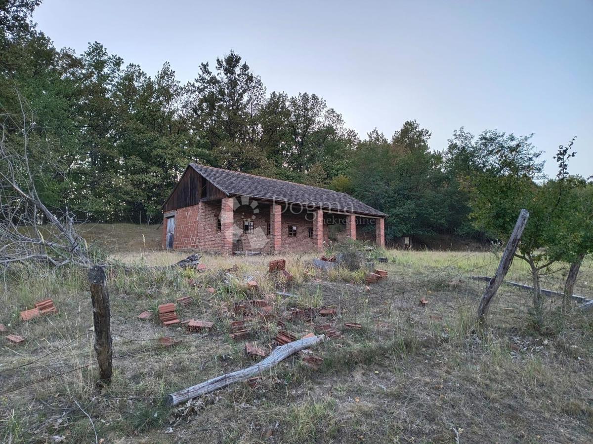 Zemljišče Gradište, Kutjevo, gradište, 78.505m2