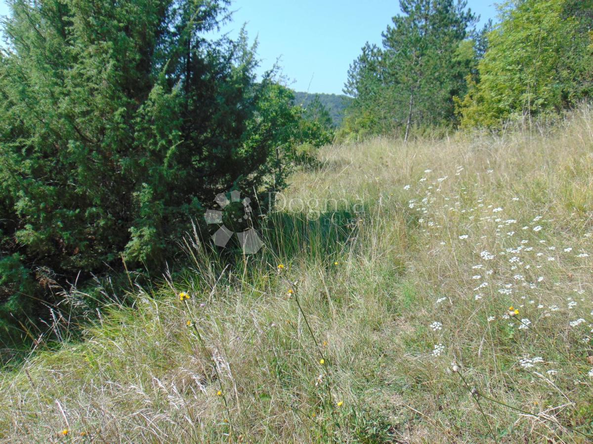 Zemljišče Mrgani, Kanfanar, 890m2