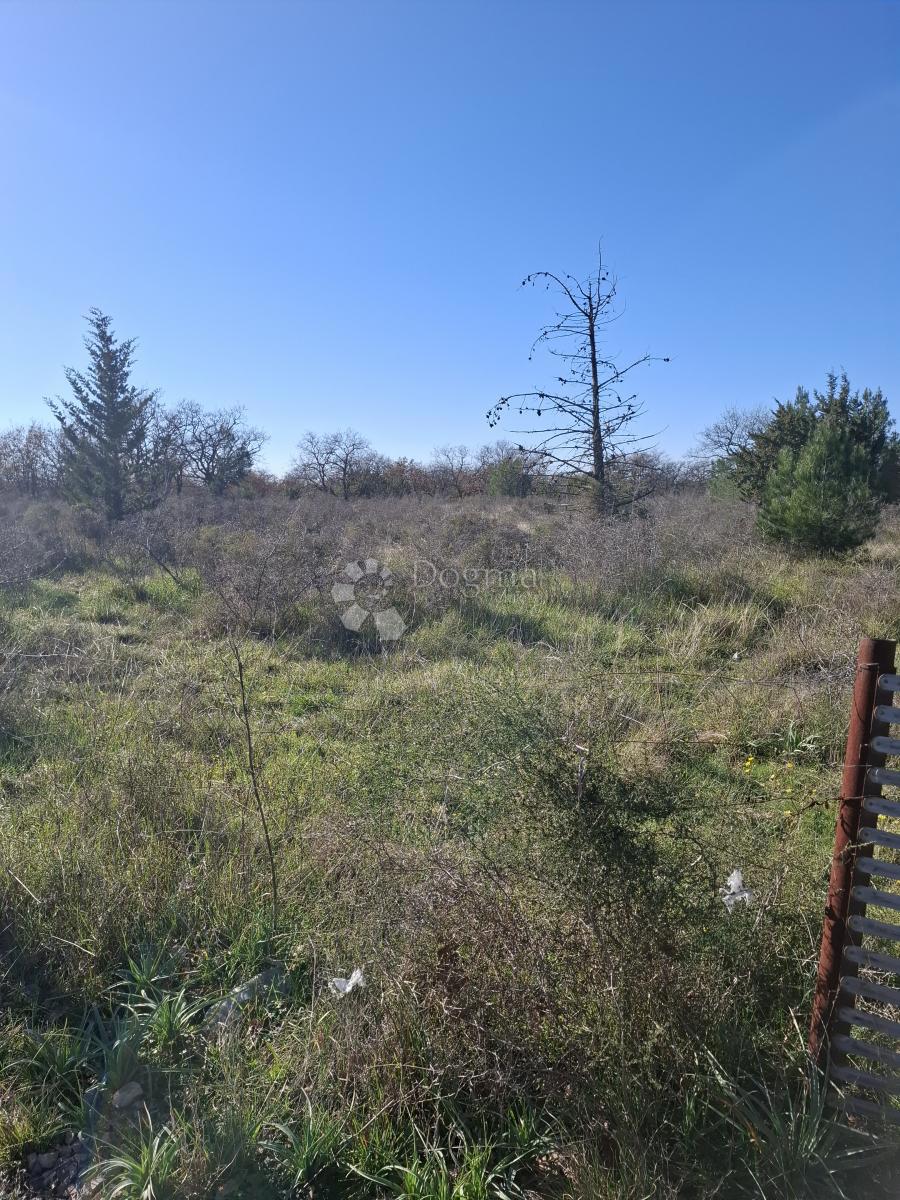 Zazidljivo zemljišče Suhovare, Poličnik, 4.161m2