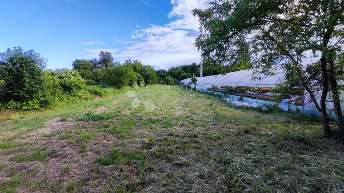 Hiša Donji Kraljevec, 1.948m2