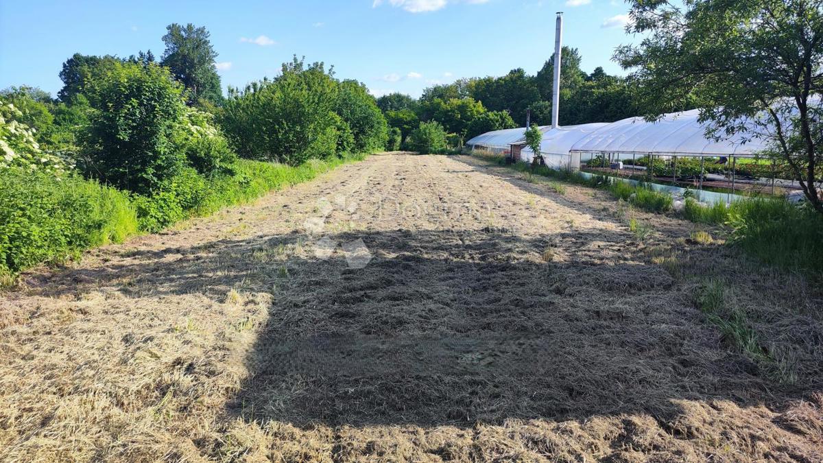 Hiša Donji Kraljevec, 1.948m2