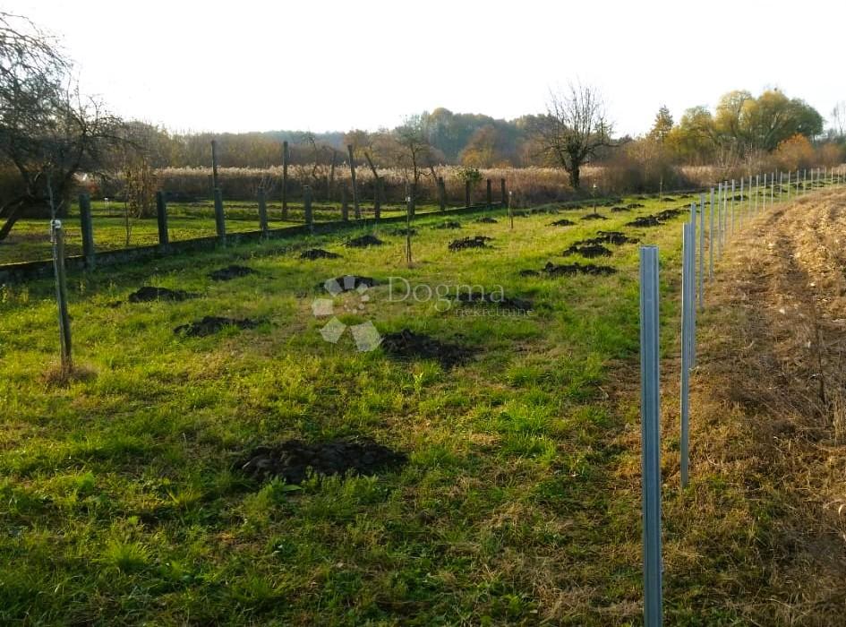Kmetijsko zemljišče Bartolovec, Trnovec Bartolovečki, 1.514m2