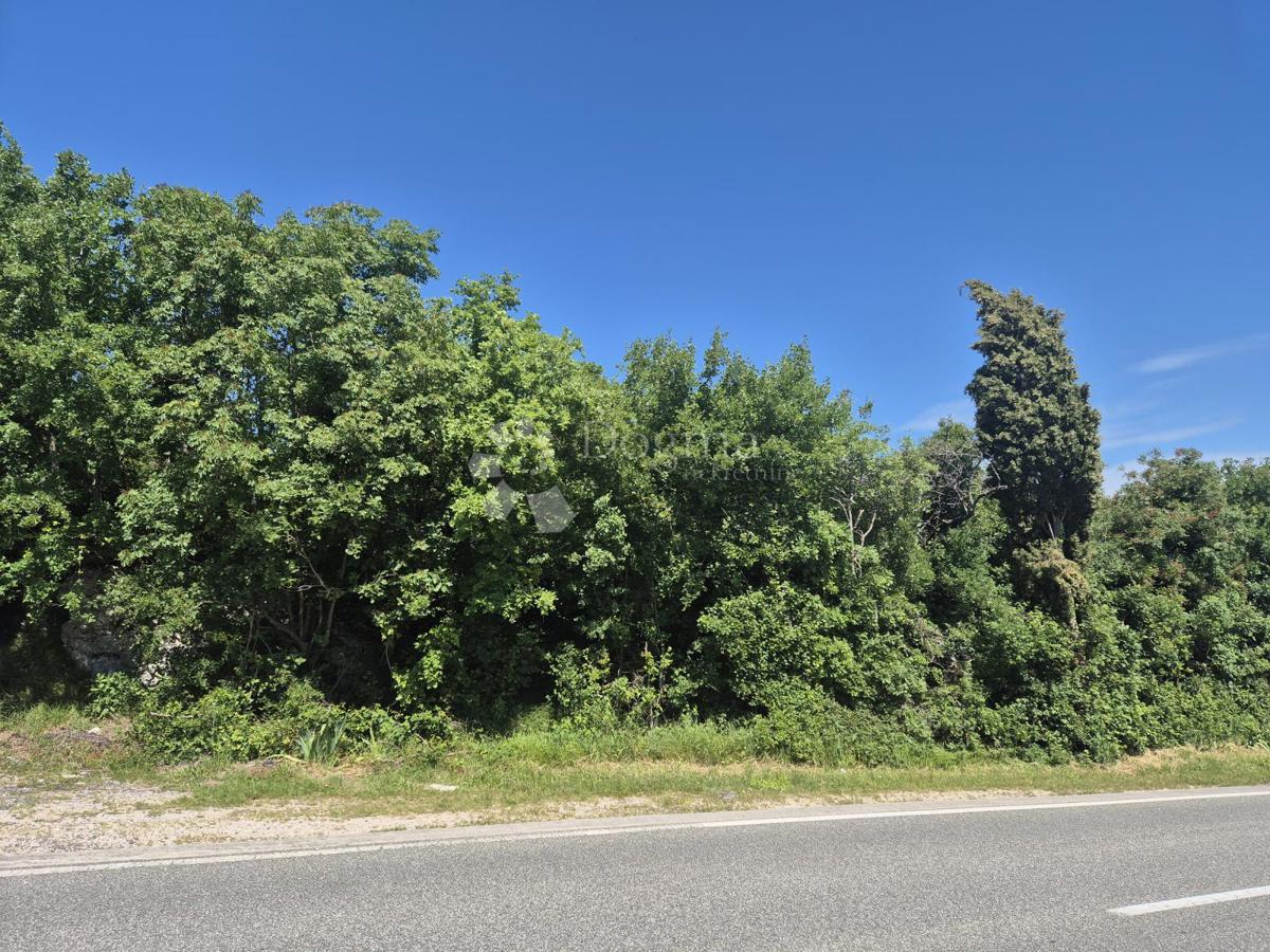 Kmetijsko zemljišče Labin, 44.000m2