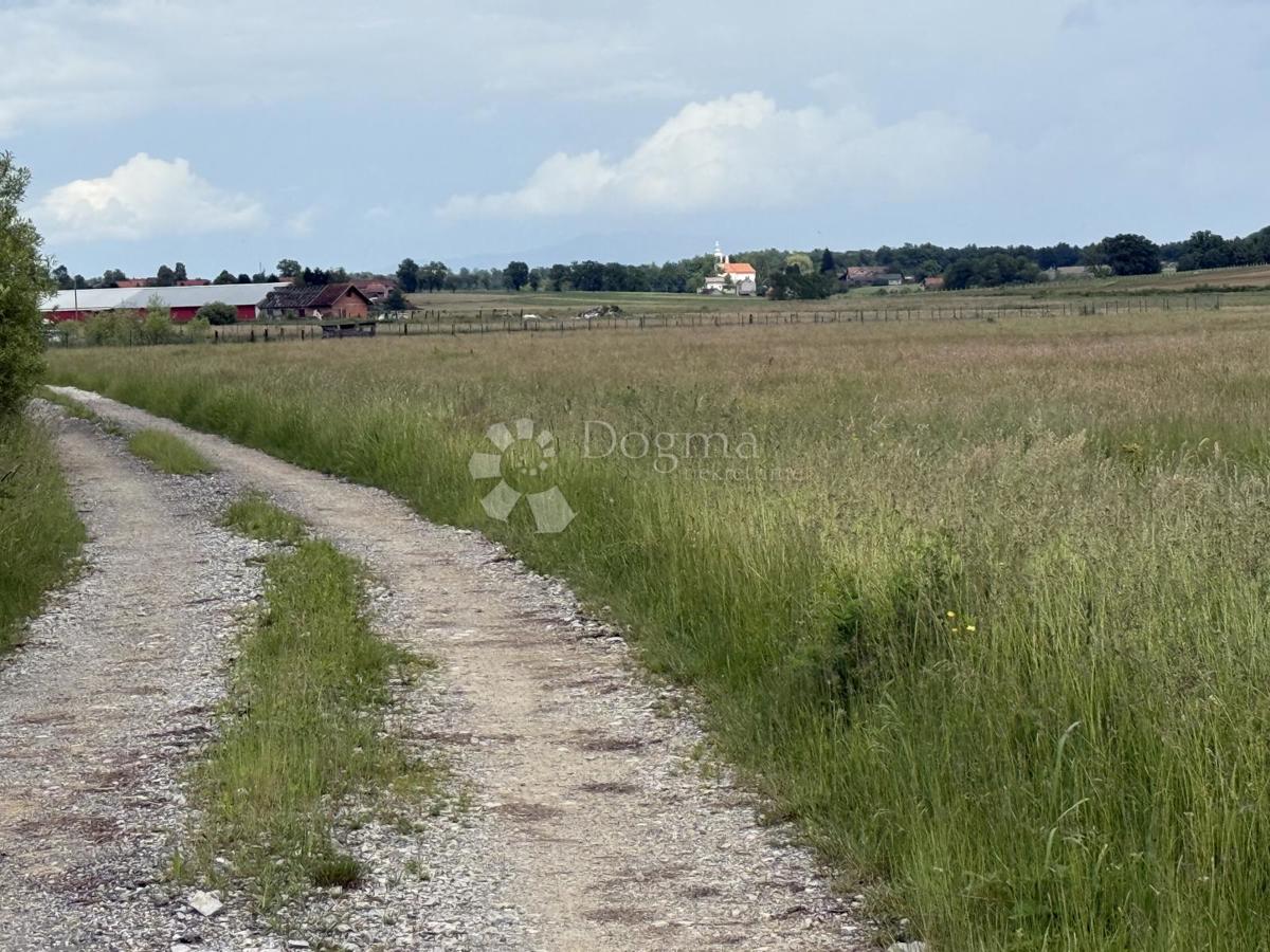 Redkost na trgu! Veliko zemljišče za proizvodno/poslovno dejavnost